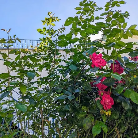 Da Fonte - Peaceful 3-bedroom With Private Pool, Portugal *