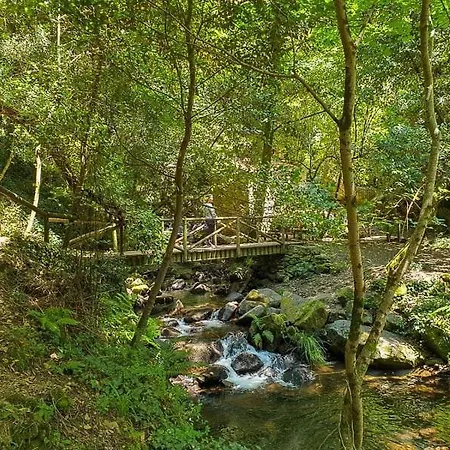 Da Fonte - Peaceful 3-bedroom With Private Pool, Portugal * Figueiro Dos Vinhos