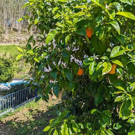 Villa Da Fonte - Peaceful Rural 3-bedroom With Private Pool, Portugal *