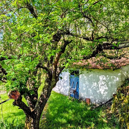 Villa Da Fonte - Peaceful Rural 3-bedroom With Private Pool, Portugal *