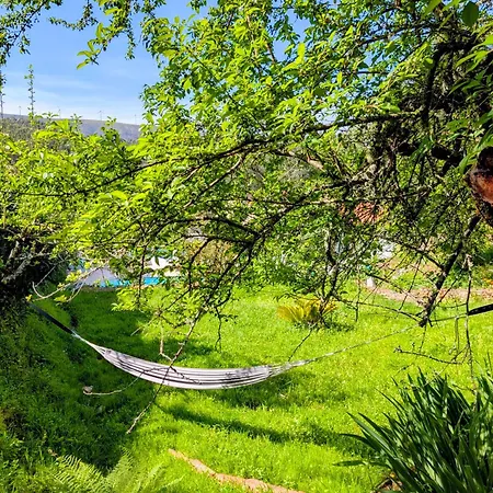 Da Fonte - Peaceful Rural 3-bedroom With Private Pool, Portugal * Figueiro Dos Vinhos