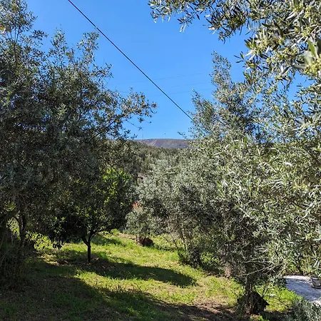 Da Fonte - Peaceful Rural 3-bedroom With Private Pool, Portugal Villa Figueiro Dos Vinhos