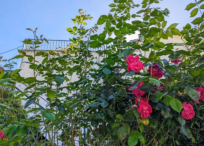 Da Fonte - Peaceful 3-bedroom With Private Pool, Portugal *