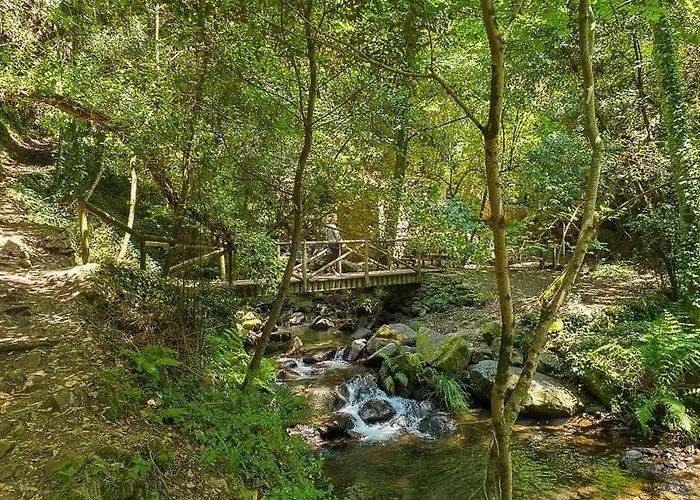 Da Fonte - Peaceful 3-bedroom With Private Pool, Portugal * Figueiro Dos Vinhos