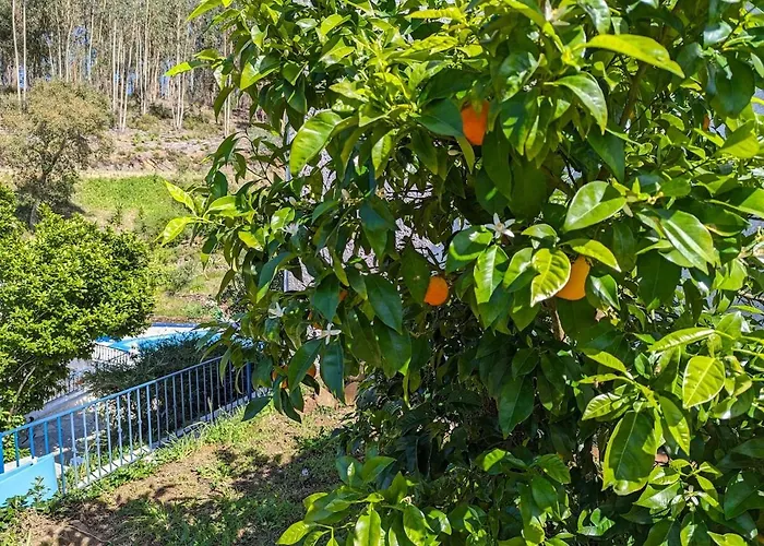 فيلة Da Fonte - Peaceful 3-bedroom With Private Pool, Portugal *